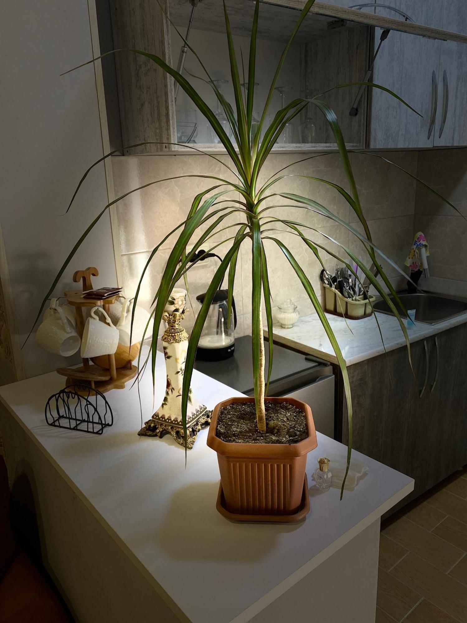 Anna'S Home Kutaisi Luaran gambar