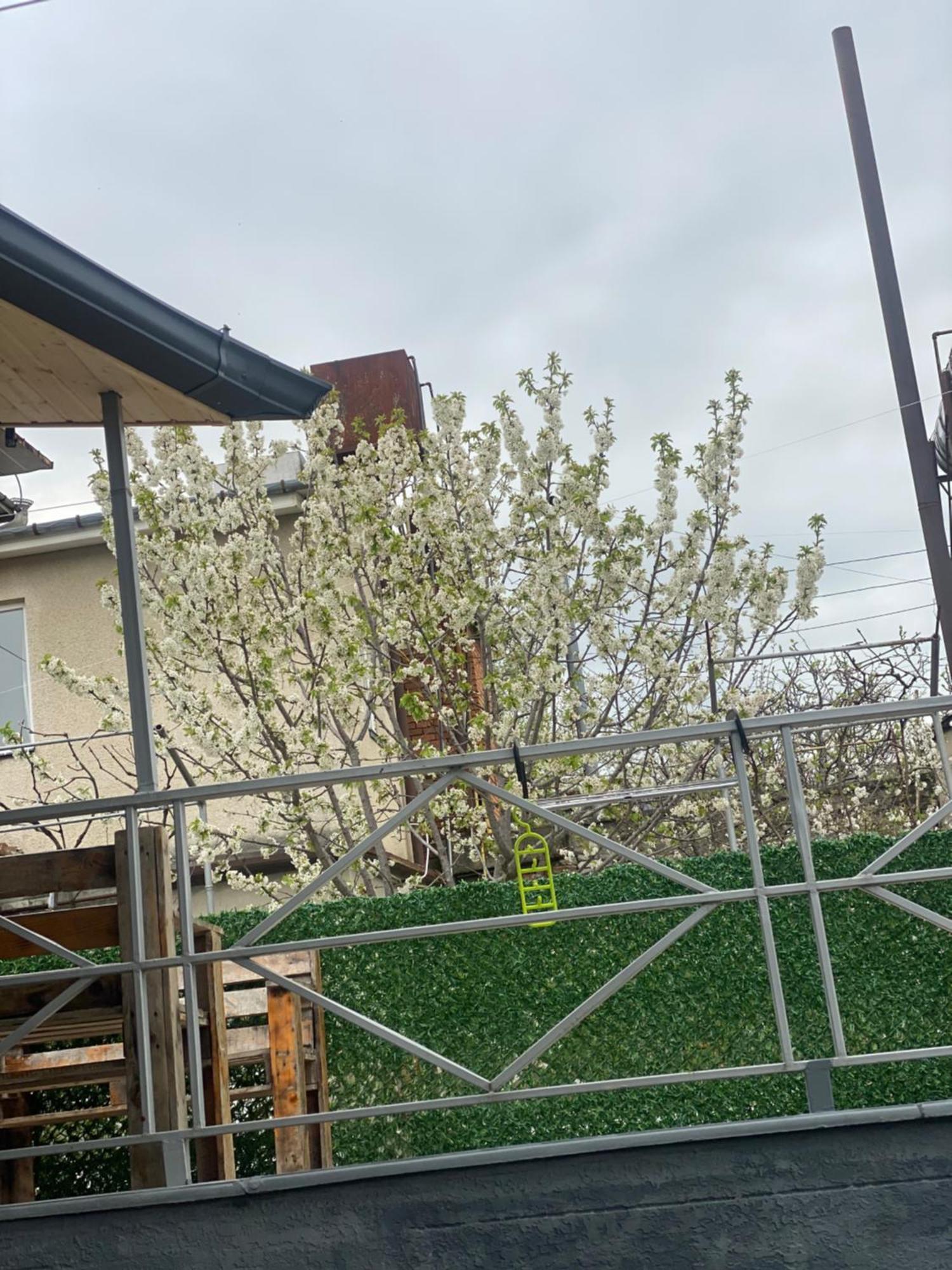 Anna'S Home Kutaisi Luaran gambar